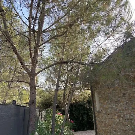 Villa Maison Proche Du Pic Loup Saint-Jean-de-Cuculles